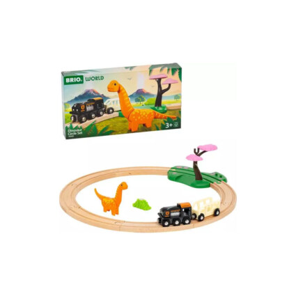 Dinosaur circle set