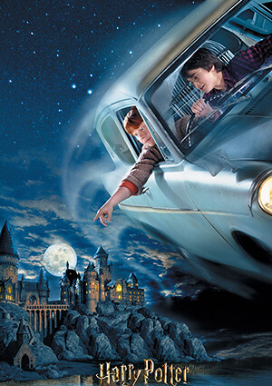 3D pussel Harry Potter