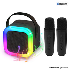 Duo Karaoke Party Speaker