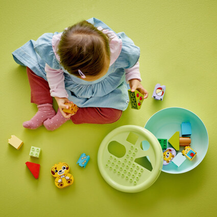 LEGO 10441 Formsorterare: valphus