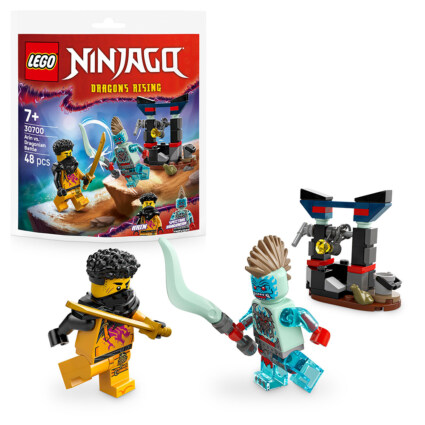LEGO 30700 Arins strid mot dragonier