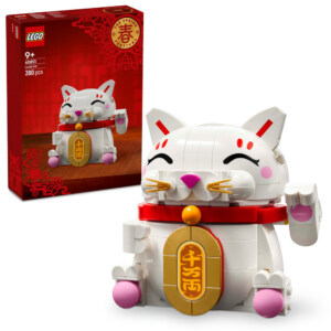 LEGO 40813 Lyckokatt