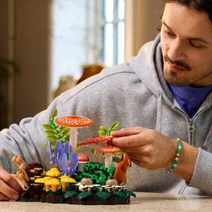LEGO 11505 Skogssvampar