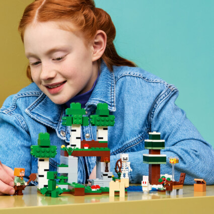 LEGO 21593 Första nattens äventyr