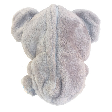 Koala som andas